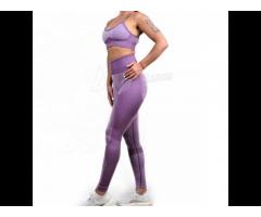 Wholesaler Women Solid Color Blank Gym Apparel Fitness Wear Yoga Set Manufacturer - Image 1
