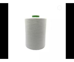 Factory free sample 40S/2 100% cotton yarn for knitting yarn high twist cotton yarn - Image 2