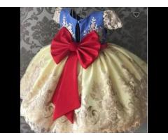 Wholesale Mesh Embroidery Ball Gown Kid Girls Holiday Princess Party Fancy Dress Costumes - Image 3