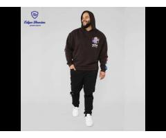 Factory Wholesale spring fashion long sleeve pullover men's hoodies with drawstring